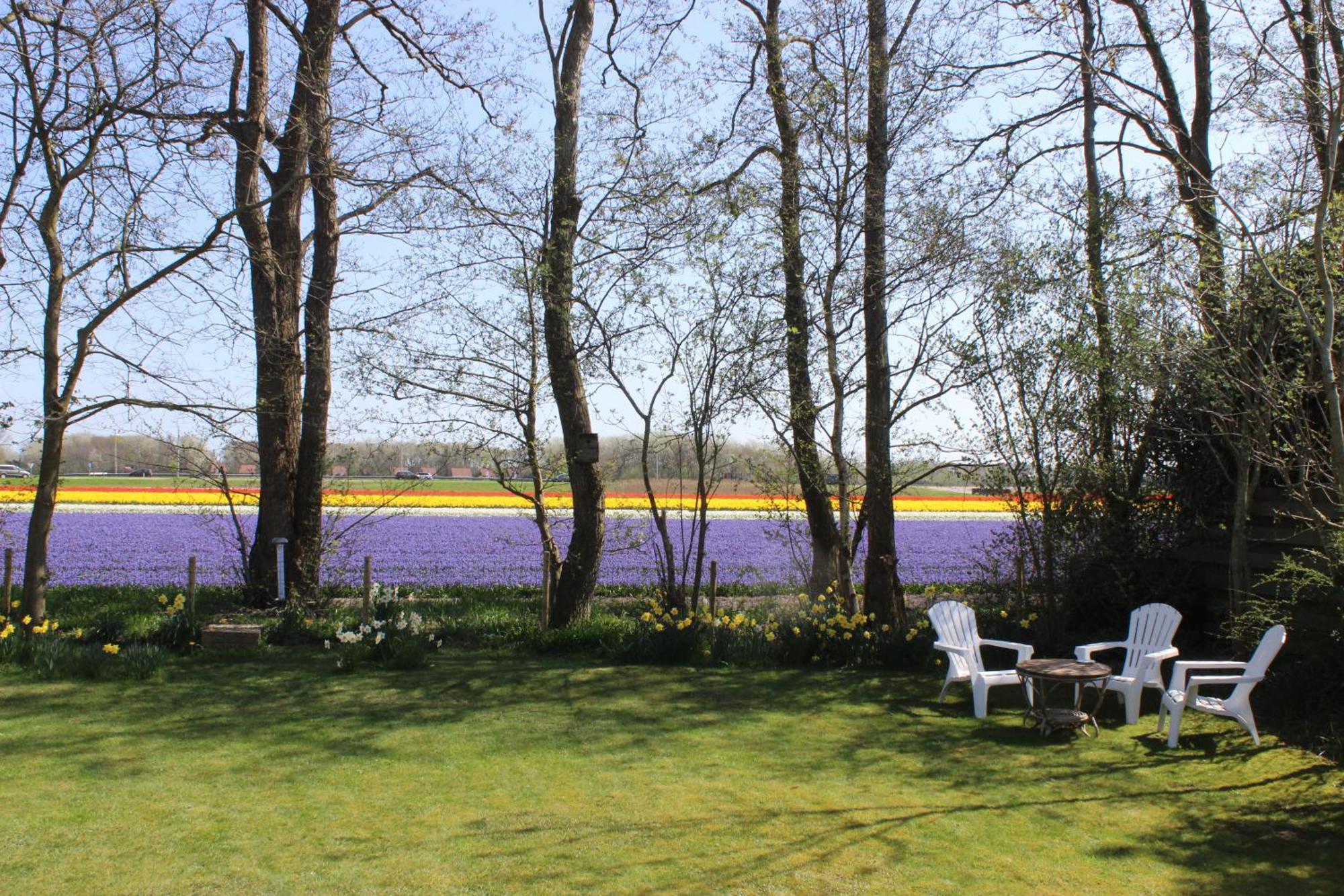 Vakantiehuis Aan Zee Sint Maartensvlotbrug Dış mekan fotoğraf